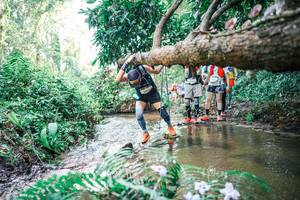 BIB: 
                            <button type="button" onclick="openModal(25475277)" class="btn btn-primary btn-sm float-right btn-popup" data-toggle="modal" data-target=".modal-high-quality">
                        <i class="fas fa-shopping-cart"></i> Add to Cart
                    </button>
                                            <button type="button" onclick="isThisMe(25475277, true)" class="btn btn-success btn-sm float-right btn-popup btn-isme hidden" data-toggle="tooltip" data-placement="bottom" title="นี่คือรูปของคุณใช่ไหม คลิกที่นี่เพื่อเอาเข้าอัลบั้ม">
                        <i class="fas fa-plus"></i> Add to album
                    </button>
                    <button type="button" onclick="isThisMe(25475277, false)" class="btn btn-warning btn-sm float-right btn-popup btn-isnotme hidden">
                        <i class="fas fa-ban"></i> Remove from album
                    </button>